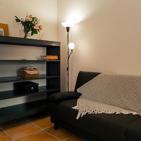 La Terrazza Sul Reno - In Pieno Centro-Due Passi Da Villa Chiara - Comodo Unipol Arena Casalecchio Di Reno Eksteriør bilde